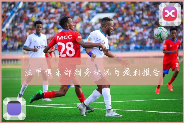 法甲俱乐部财务状况与盈利报告